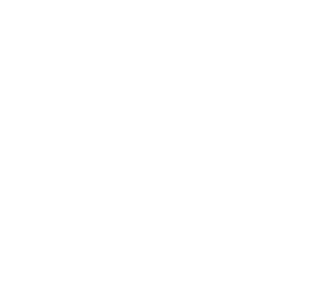Paws and Think | Animal Training